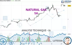 NATURAL GAS - 1 uur