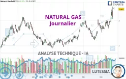 NATURAL GAS - Journalier