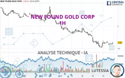 NEW FOUND GOLD CORP - 1H