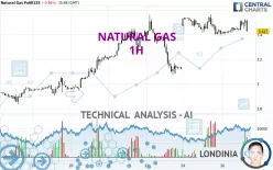 NATURAL GAS - 1 uur