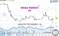 WAGA ENERGY - 1H