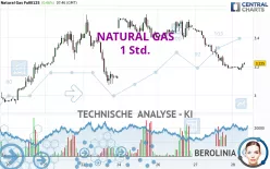 NATURAL GAS - 1 Std.