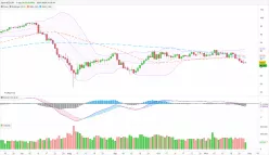 NZD/JPY - Daily