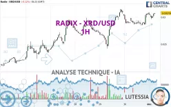 RADIX - XRD/USD - 1H