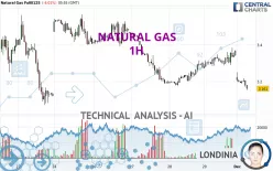 NATURAL GAS - 1 uur