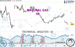 NATURAL GAS - 1 uur