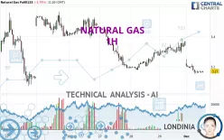 NATURAL GAS - 1 uur