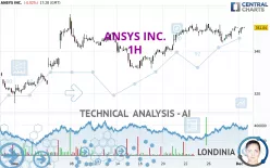 ANSYS INC. - 1 uur