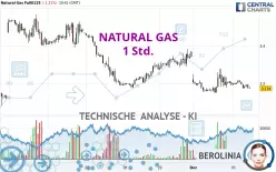 NATURAL GAS - 1 Std.