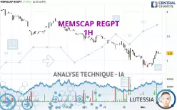 MEMSCAP REGPT - 1 uur