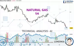 NATURAL GAS - 1 Std.