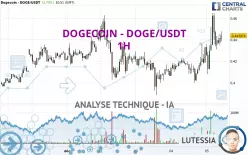 DOGECOIN - DOGE/USDT - 1H