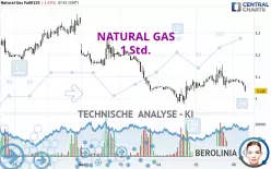 NATURAL GAS - 1 Std.