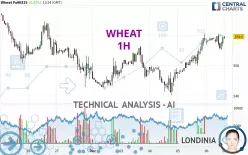 WHEAT - 1H