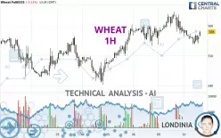 WHEAT - 1 uur