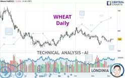 WHEAT - Daily