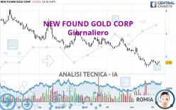 NEW FOUND GOLD CORP - Giornaliero