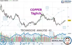 COPPER - Diario