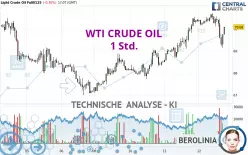 WTI CRUDE OIL - 1 Std.