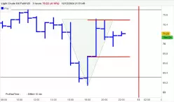 WTI CRUDE OIL - 1H