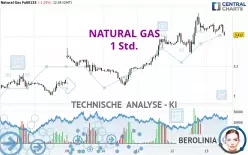 NATURAL GAS - 1 Std.