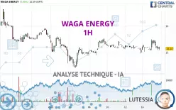 WAGA ENERGY - 1H