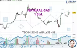 NATURAL GAS - 1 Std.