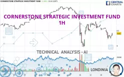 CORNERSTONE STRATEGIC INVESTMENT FUND - 1H