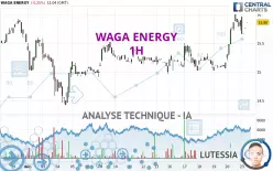 WAGA ENERGY - 1H