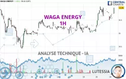 WAGA ENERGY - 1H