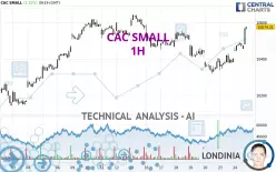 CAC SMALL - 1H