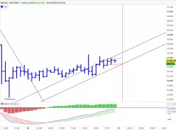 BITCOIN - BTC/USD - 1 uur