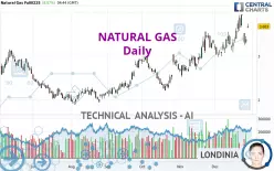 NATURAL GAS - Daily