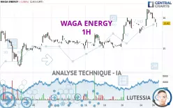 WAGA ENERGY - 1H