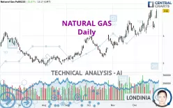 NATURAL GAS - Diario