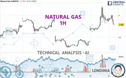 NATURAL GAS - 1H