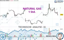 NATURAL GAS - 1 Std.