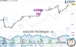 CORN - 1 uur