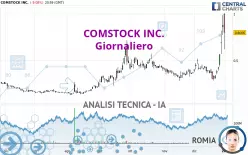 COMSTOCK INC. - Diario