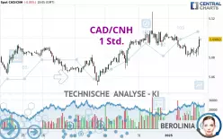 CAD/CNH - 1 Std.