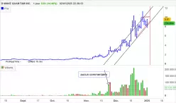 D-WAVE QUANTUM INC. - Diario