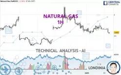 NATURAL GAS - 1 uur