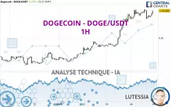 DOGECOIN - DOGE/USDT - 1H