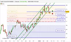 WTI CRUDE OIL - 4H