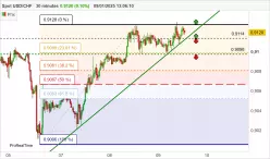 USD/CHF - 30 min.