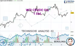 WTI CRUDE OIL - 1H