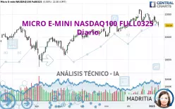 MICRO E-MINI NASDAQ100 FULL0325 - Dagelijks