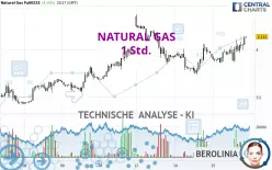 NATURAL GAS - 1 Std.