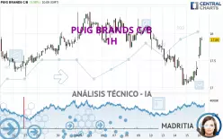 PUIG BRANDS C/B - 1H