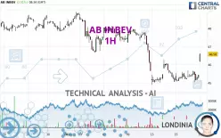 AB INBEV - 1 uur